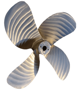 Adobe Express - file